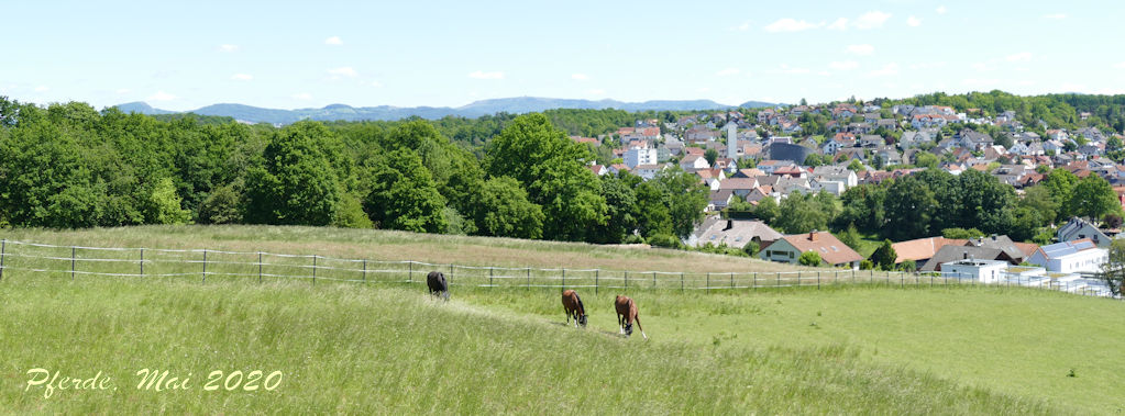 Rhnblick